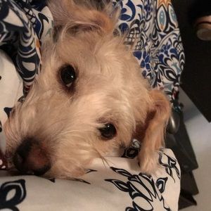 Meet your Posher, Victoria